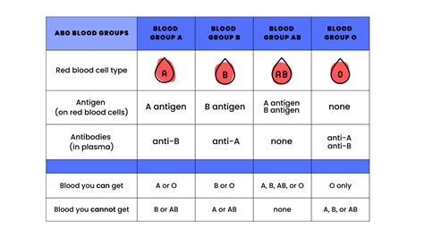 Blood Types and Matching 